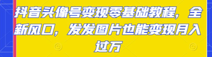 图片[1]-抖音头像号变现项目零基础教程：发发图片也能月入过万-欢迎访问本站